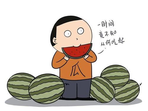 网上语言吃瓜是什么意思,吃瓜背后的趣味与内涵