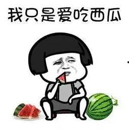 吃娱乐圈的瓜搞笑说法,明星们的“甜蜜负担”大揭秘