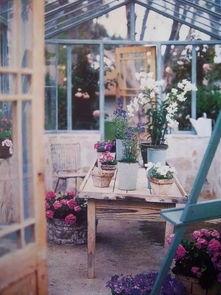 在青岛有房的明星不少,青岛豪宅明星云集